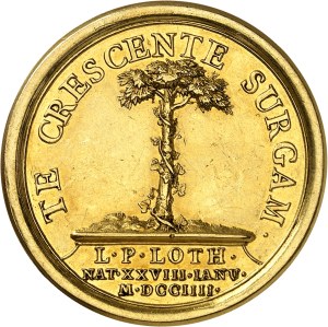 Lorraine (Duchy of), Leopold I (1690-1729). Médaille d'Or, birth of Louis de Lorraine, heir presumptive of Lorraine and Bar on January 28, 1704, by Mauger 1704, Paris.