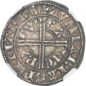 Cambrai (archevêché de), Pierre III de Mirepoix (1309-1324). Petit gros ND, Cambrai.