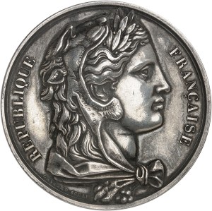 IIIe République (1870-1940). National Assembly identity medal, after Gayrard, deputy Adolphe Thiers of the Seine department MDCCCLXXVI (1876), Paris.