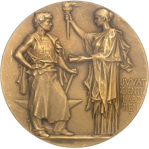 IIIe République (1870-1940). Médaille d’Or, Prix Jules Audéoud de l’Académie des Sciences morales et Politiques, Caisse d’assurance des Forges de France, par J.-C. Chaplain, Flan mat ND (1901), Paris.