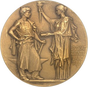 IIIe République (1870-1940). Médaille d'Or, Prix Jules Audéoud de l'Académie des Sciences morales et Politiques, Caisse d'assurance des Forges de France, by J.-C. Chaplain, Flan mat ND (1901), Paris.
