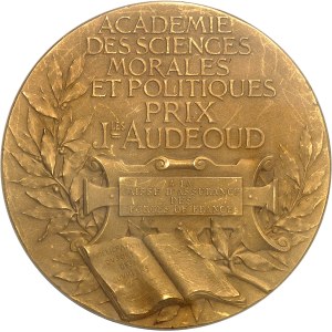 IIIe République (1870-1940). Médaille d’Or, Prix Jules Audéoud de l’Académie des Sciences morales et Politiques, Caisse d’assurance des Forges de France, par J.-C. Chaplain, Flan mat ND (1901), Paris.
