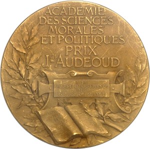 IIIe République (1870-1940). Médaille d'Or, Prix Jules Audéoud de l'Académie des Sciences morales et Politiques, Caisse d'assurance des Forges de France, by J.-C. Chaplain, Flan mat ND (1901), Paris.