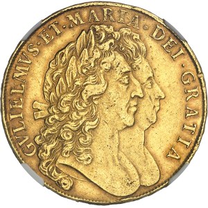Guillaume et Marie (1689-1694). 5 guinées 1691, Londres.
