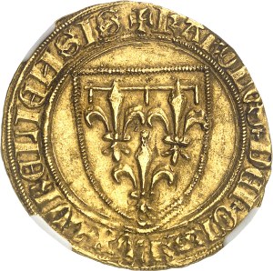 Asti, Charles d'Orléans (1408-1422). Golden shield, without the title seigneur d'Asti ND (1419 or 1422?), Orléans ?