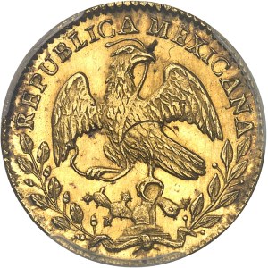 République du Mexique (1821-1917). 2 escudos 1856/5 GF, M°, Mexico.