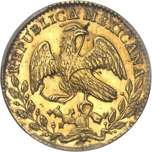 Republic of Mexico (1821-1917). 2 escudos 1856/5 GF, M°, Mexico City.
