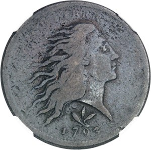 Federal Republic of the United States of America (1776-present). One hundred Liberty with flowing hair 1793, Philadelphia.