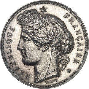 French Tonkin (1875-1945). Medal, Hanoi Exhibition by Oudiné 1887, Paris.
