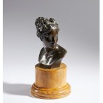 Antonio Canova (copia da), Busto di Venere Italica