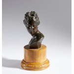 Antonio Canova (copia da), Busto di Venere Italica