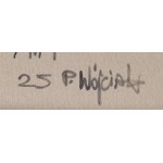 Przemysław Wójciak \ Karifurava (ur. 1992, Brzeg), Dark side, 2024