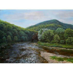 Michał SPRYSZYŃSKI (geb. 1987), San River Gorge, 2019