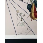Salvador Dali (1904-1989) Flordali II: The Butterfly Rose, 1981