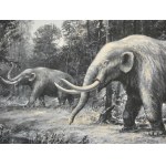 Adam Werka - Palaeoloxodon antiquus II