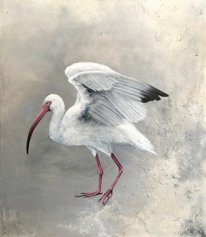 KLAUDIA CHOMA, IBIS, 2018