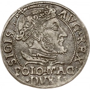 Lithuania Grosz 1547 Vilnius (RR)