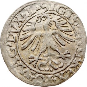 Lithuania Polgrosz 1562 Vilnius
