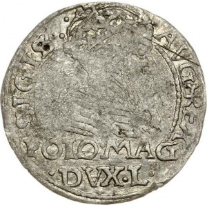 Lithuania Grosz 1566 Tykocin (RR) - MAGNN