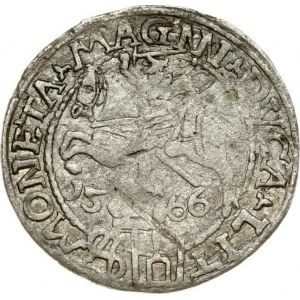 Lithuania Grosz 1566 Tykocin (RR) - MAGNN