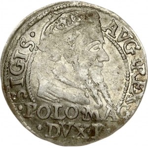 Lithuania Grosz 1568 Tykocin L/LIT (R)