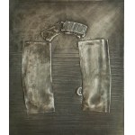 Alicja Majewska, Droga do…