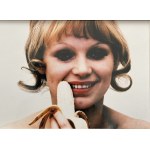 Natalia LL (Natalia Lach-Lachowicz), Sztuka konsumpcyjna
