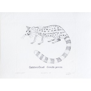 Stanisław Kamiński, Common Genet