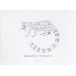 Stanisław Kamiński, Common Genet