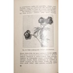 Kulesza W., ZE ŚWIATA ROŚLINNOŚCI TATRZAŃSKIEJ 1927 [illustrazioni].