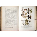 Nusbaum-Hilarowicz J., IDEA EWOLUCJI W BIOLOGII, 1910