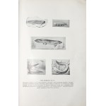 Nusbaum-Hilarowicz J., IDEA EWOLUCJI W BIOLOGII, 1910
