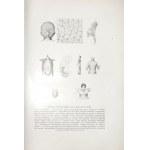 Nusbaum-Hilarowicz J., IDEA EWOLUCJI W BIOLOGII, 1910