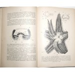 Nusbaum-Hilarowicz J., ZOOTOMIA PRAKTYCZNA, 1908 [z licznemi rycinami w tekśie]