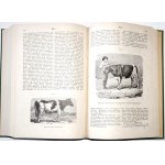 ENCYKLOPEDYA ROLNICZA, 1890 [t.1 Absorbcya-Chirurgia]