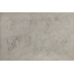 Piotr MICHAŁOWSKI (1800-1855), Studia siwego konia /verso: Szkice wołów i krów