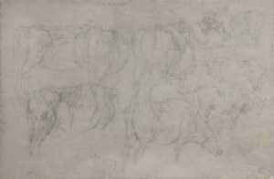 Piotr MICHAŁOWSKI (1800-1855), Studia siwego konia /verso: Szkice wołów i krów