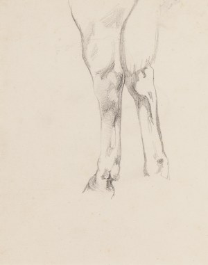 Jacek Malczewski (1854 Radom - 1929 Kraków), Szkic kopyt