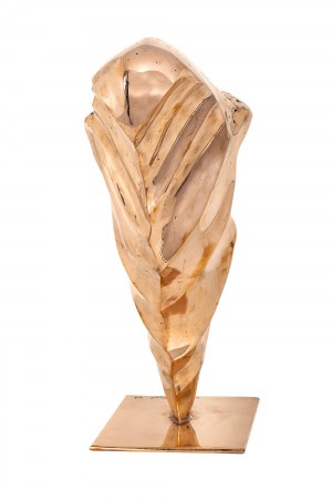 Tomasz Krzpiet, XY, 2015