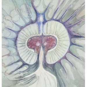 Halina Wrzeszczynska (1929-2018), Biomorphic structure