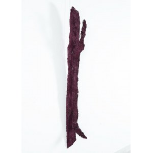 Bożenna Biskupska (b. 1952), From the series One Legged, 2024