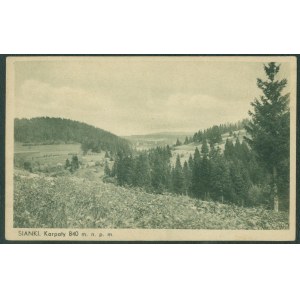1 SIANKI - Karpaty 840 m.n.p.m., Nakł. M. Wiesner, Sianki, druk ziel., ok. 1930