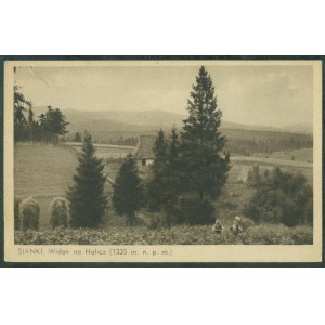 1 SIANKI - Widok na Halicz (1335 m.n.p.m.,) Nakł. M. Wiesner, Sianki, druk brąz., ok. 1930