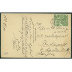 1 SIANKI - Widok na Halicz (1335 m.n.p.m.,) Nakł. M. Wiesner, Sianki, druk brąz., ok. 1930