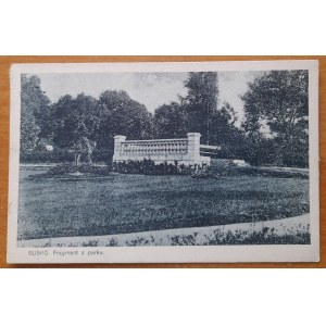 Busko.(Zdrój)Fragment parku.