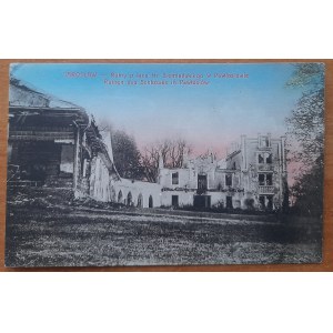Yaroslavl. Ruins of the palace of Count Siemieński in Pawlosiów 581