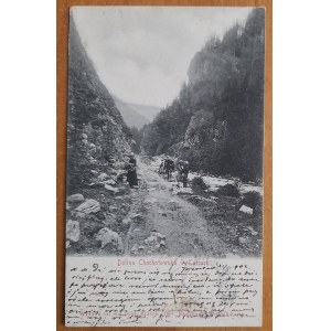 Dolina Chochołowska w Tatrach104