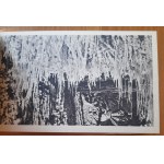 Wieliczka Salinas.Rotogravure series of views 10 pieces in zetaw.