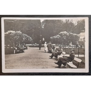 Busko (Zdrój)- Ulica z willami około parku zakładowego