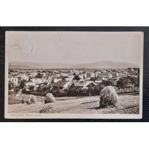 Skoczów.Gesamtansicht